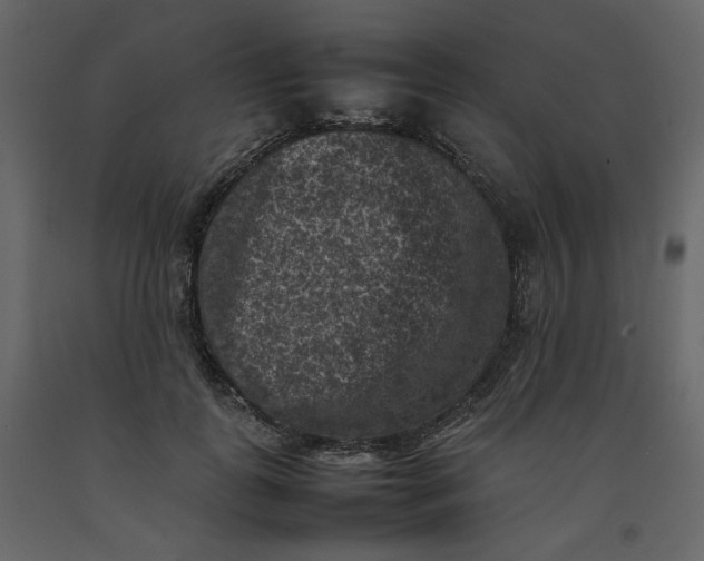 X0000092220747200710051158
