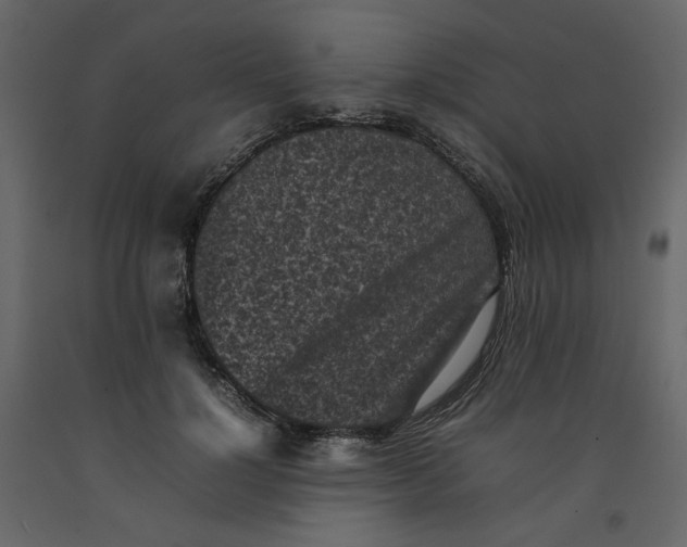 X0000092220748200710051158