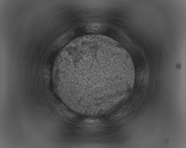 X0000092220749200710051158