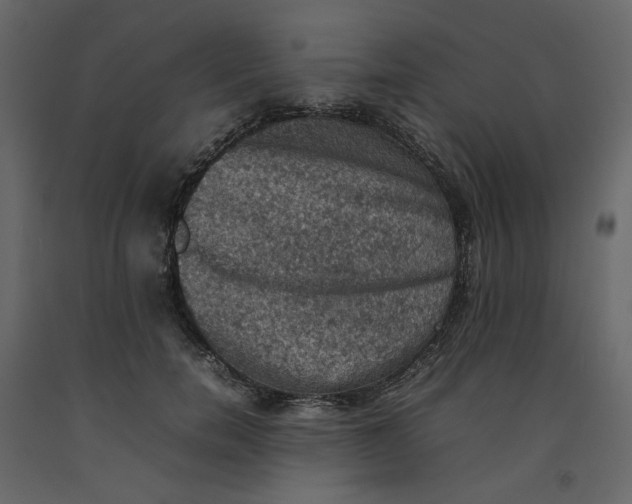 X0000092220750200710051158