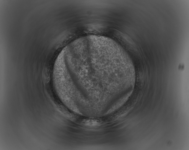 X0000092220751200710051158