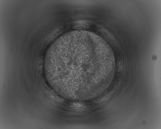 X0000092220753200710051158