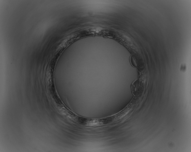 X0000092220754200710051158