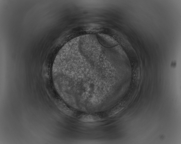 X0000092220755200710051158