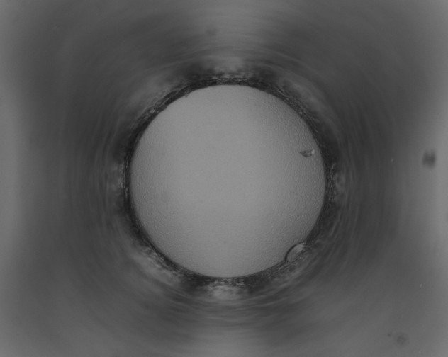 X0000092220756200710051158