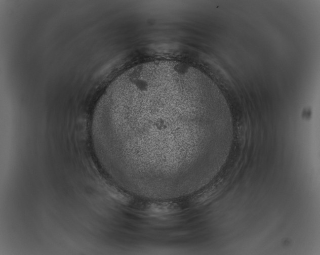 X0000092220757200710051158