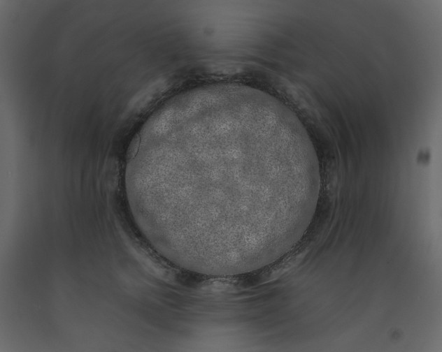 X0000092220758200710051158