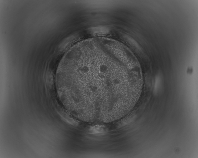 X0000092220761200710051158