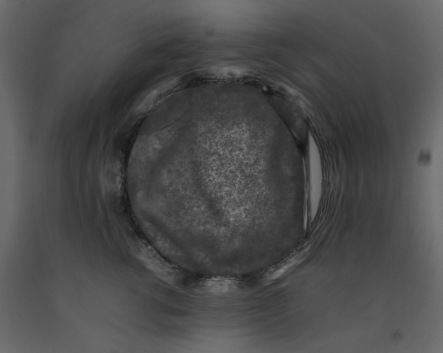 X0000092220762200710051158