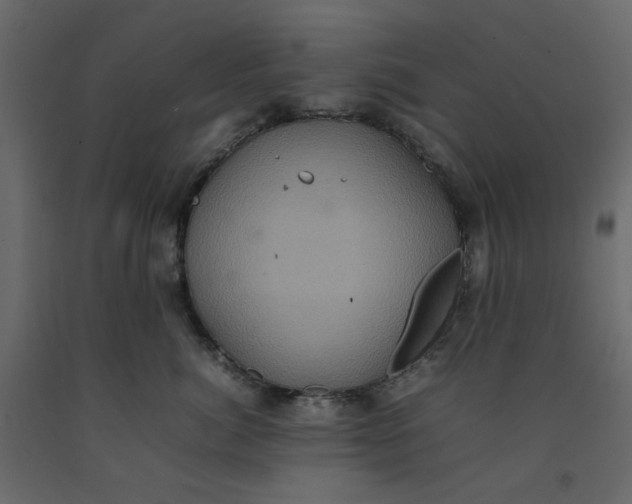 X0000092220764200710051158