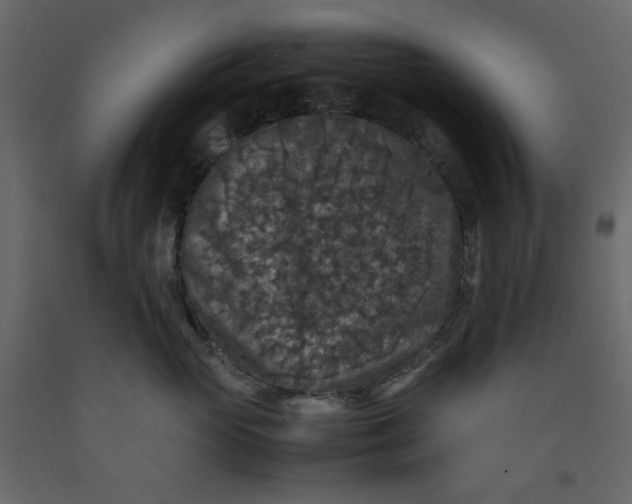 X0000092220765200710051158