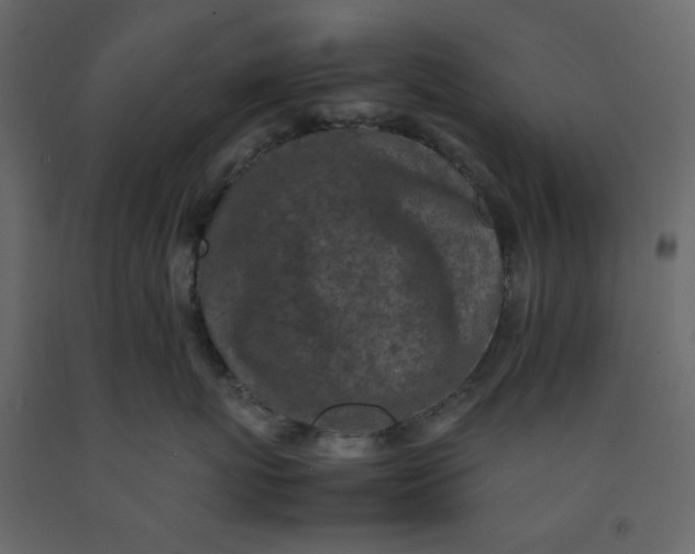 X0000092220767200710051158