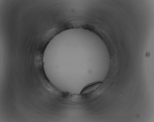 X0000092220768200710051158
