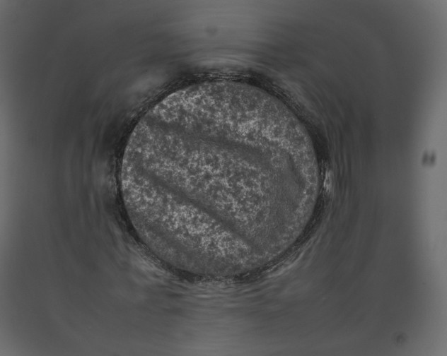 X0000092220771200710051157