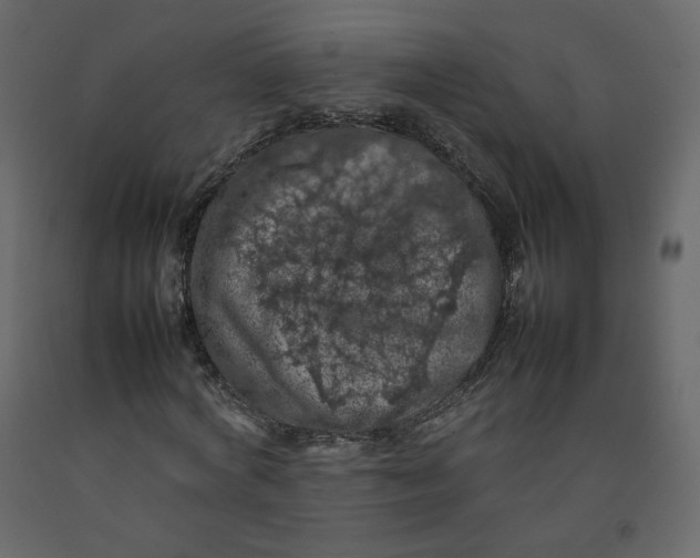 X0000092220772200710051157
