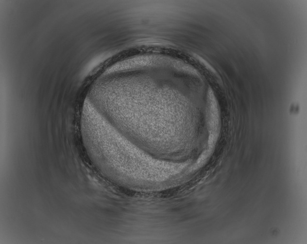 X0000092220775200710051157