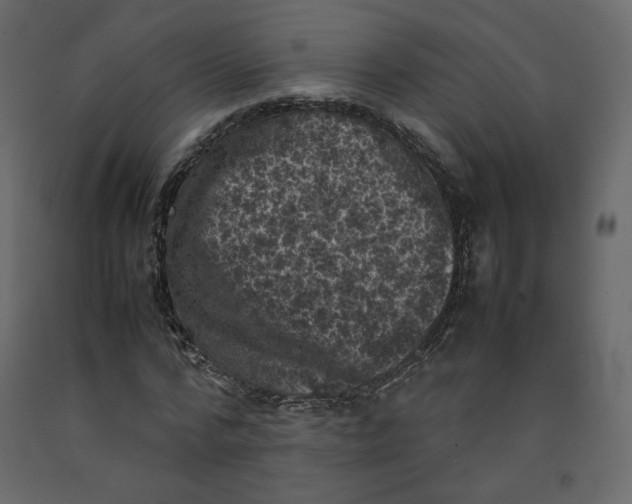 X0000092220776200710051157