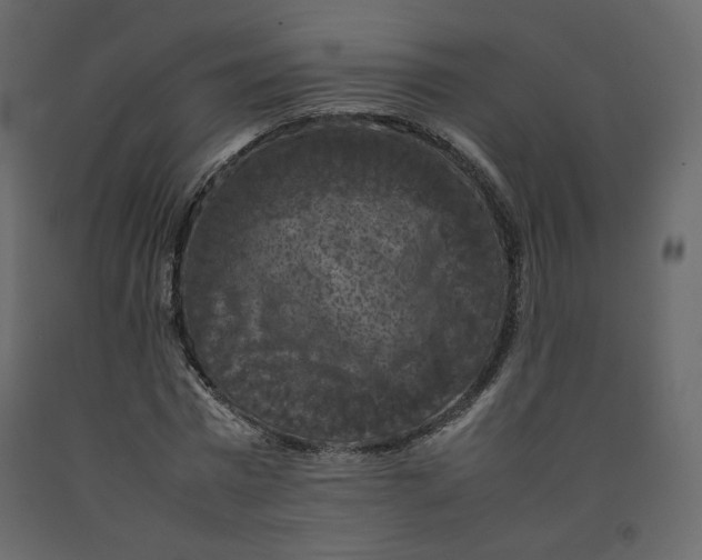 X0000092220777200710051157