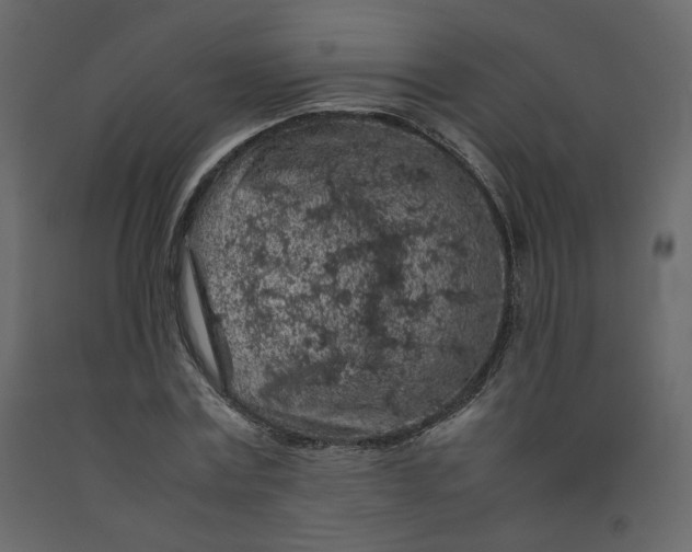 X0000092220779200710051157