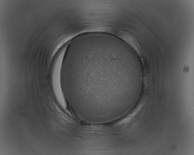 X0000092220781200710051157