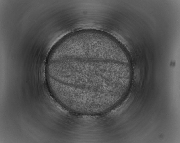 X0000092220782200710051157