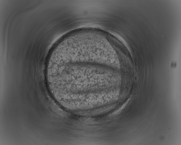 X0000092220783200710051157
