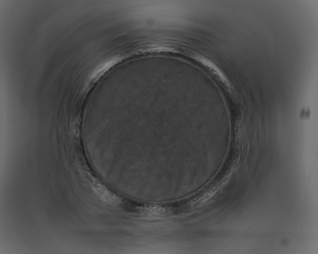 X0000092220785200710051157