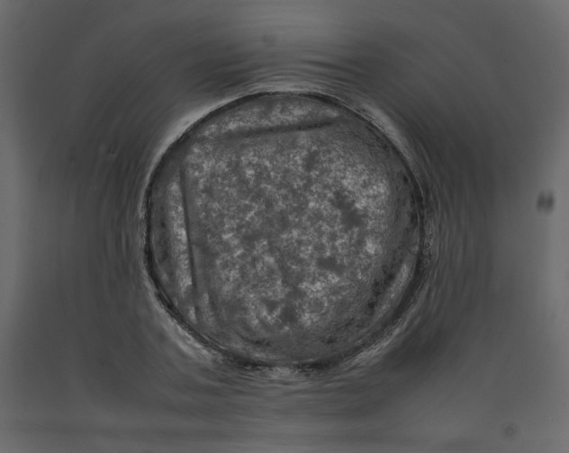 X0000092220787200710051157