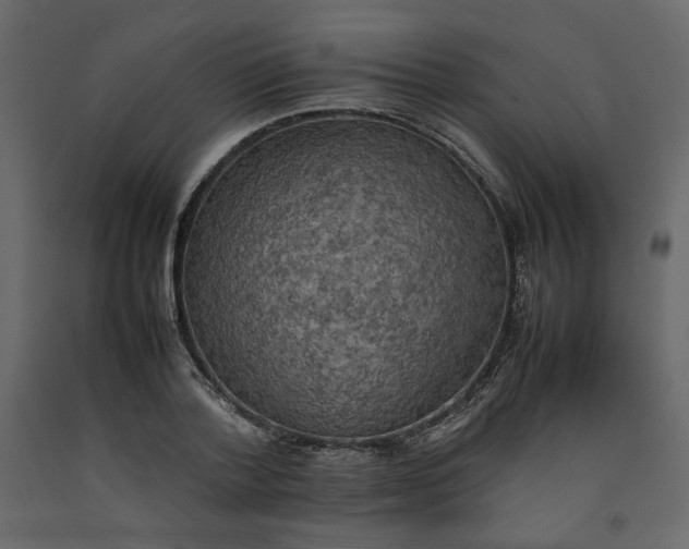 X0000092220788200710051157