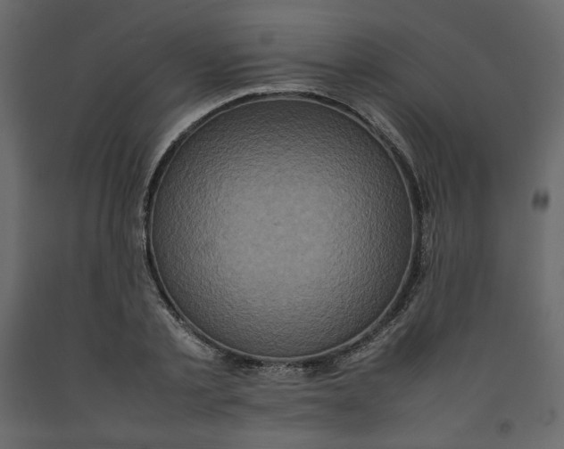 X0000092220789200710051157