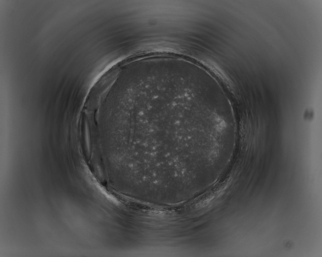 X0000092220790200710051157