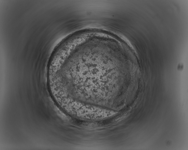 X0000092220791200710051157