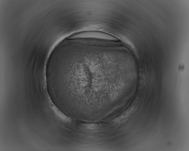 X0000092220792200710051157