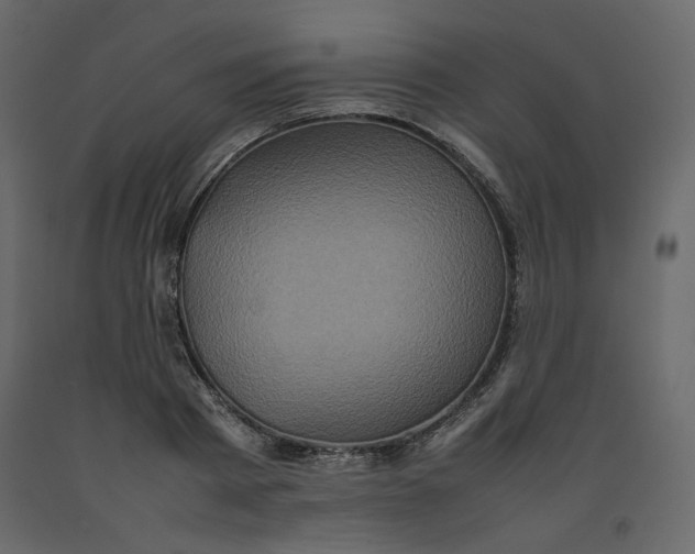 X0000092220793200710051157