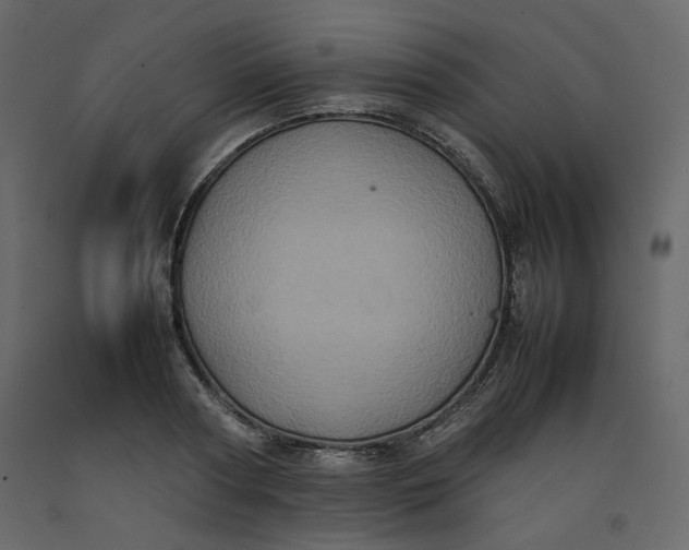 X0000092220794200710051157