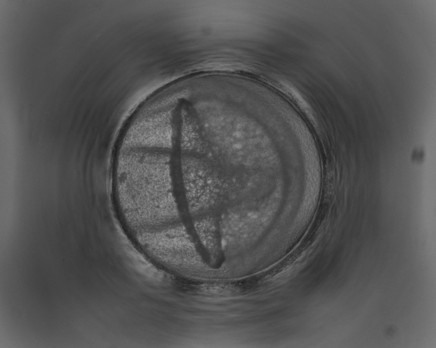 X0000092220795200710051157