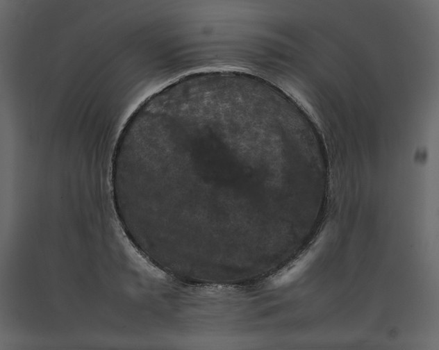 X0000092220797200710051157