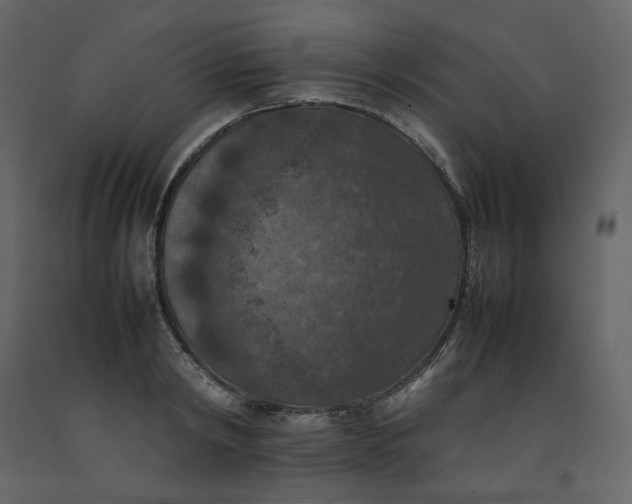 X0000092220798200710051157