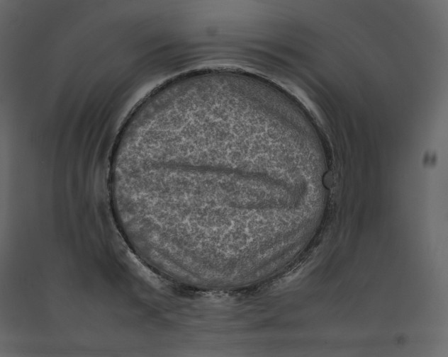 X0000092220799200710051157