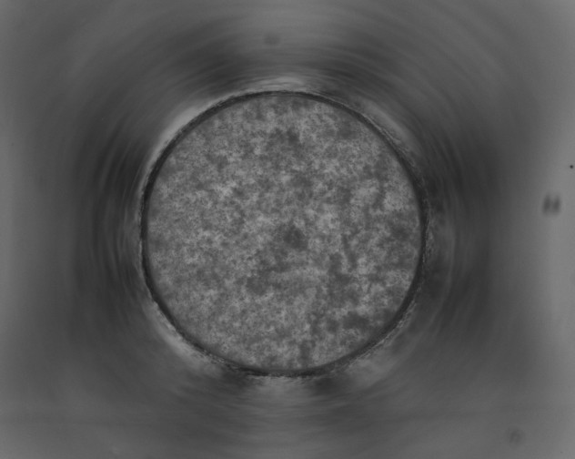 X0000092220800200710051157