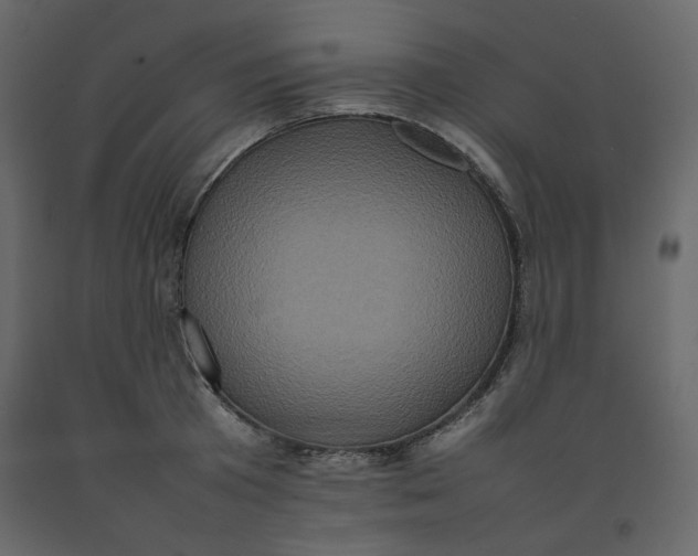 X0000092220801200710051157