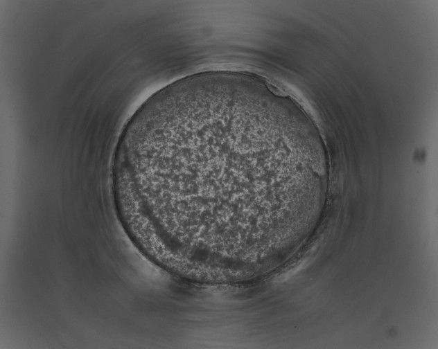 X0000092220803200710051157