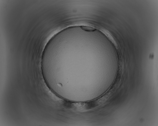 X0000092220805200710051157