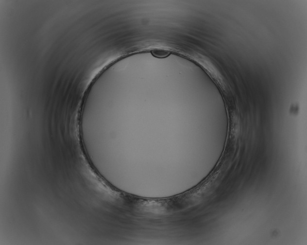 X0000092220806200710051157
