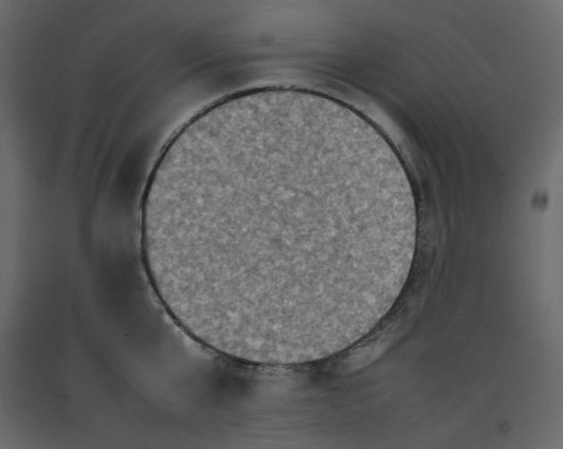 X0000092220807200710051157