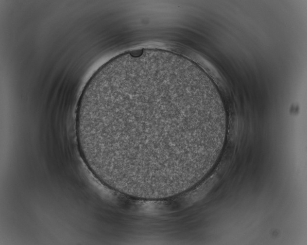 X0000092220808200710051157