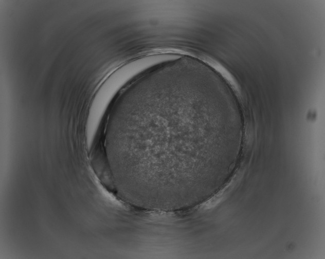 X0000092220809200710051157