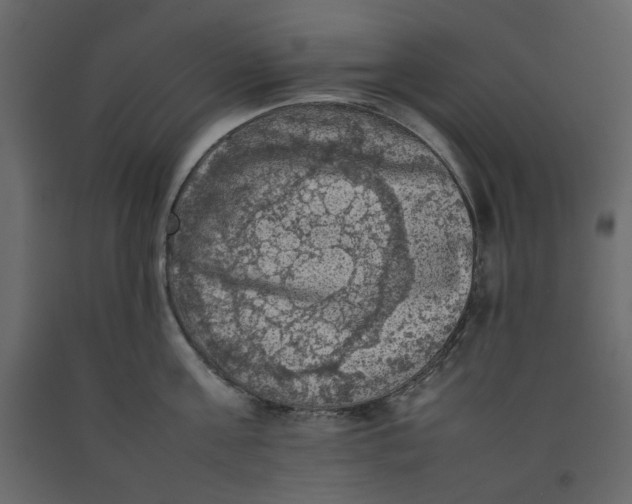 X0000092220811200710051157