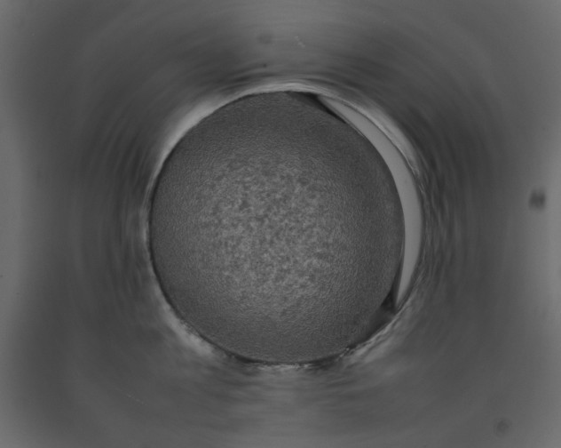 X0000092220813200710051157