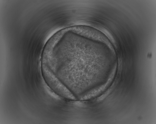 X0000092220814200710051157